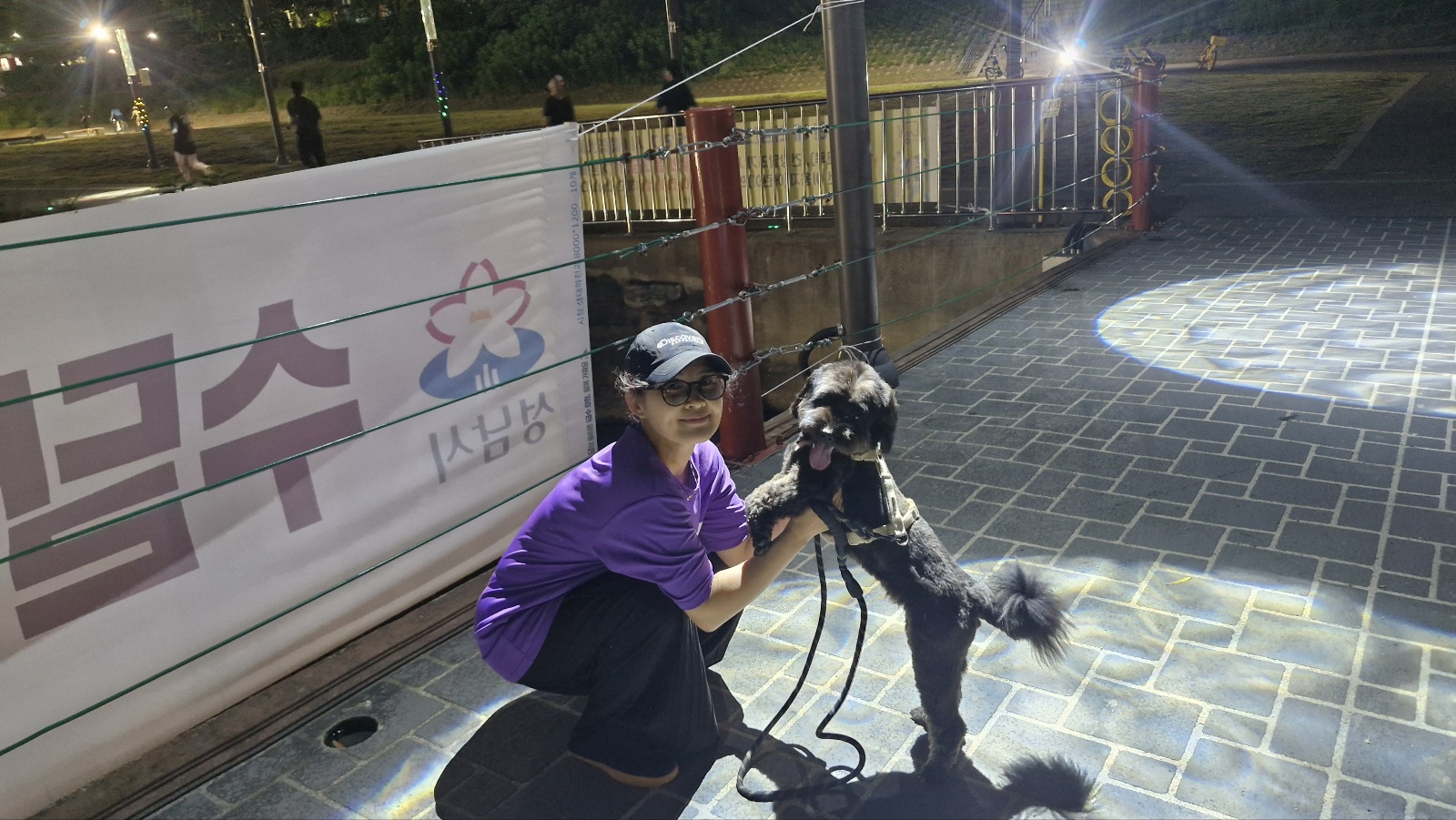 강아지 관절을 망치는 5가지 행동 정리