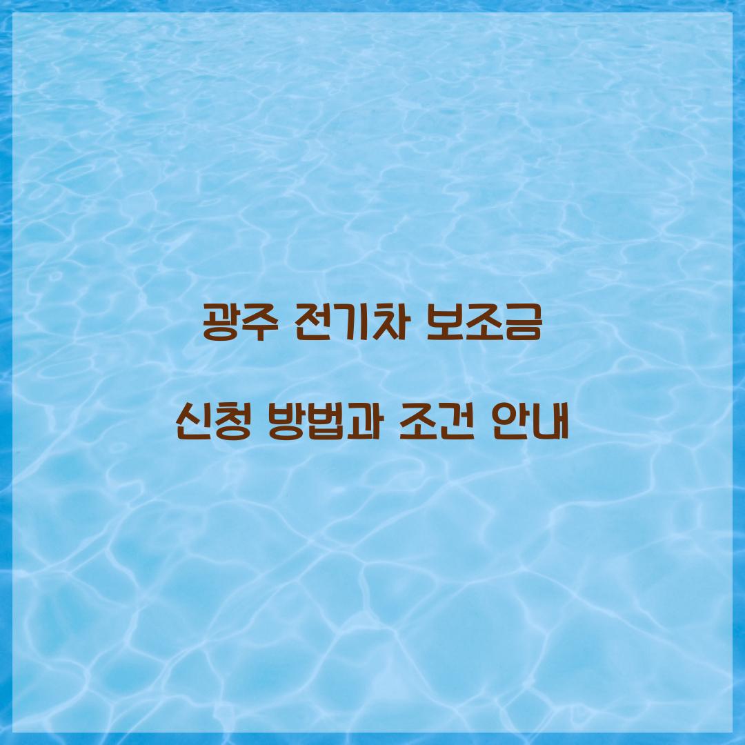 광주 전기차 보조금