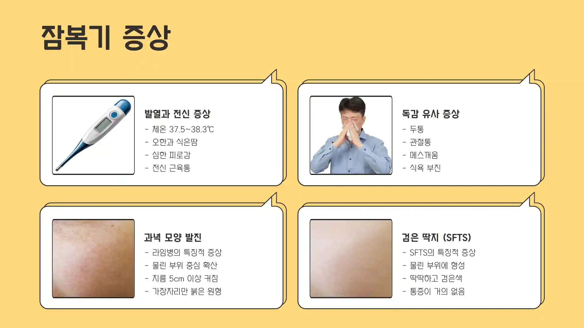 진드기 물린 후 증상
