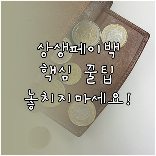 이것만 알면 돼! 상생페이백 자주 묻..