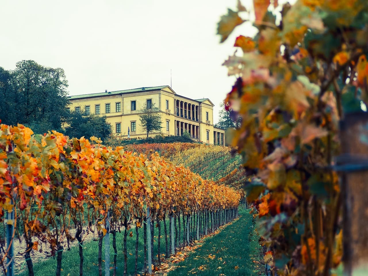 수경재배와 스마트팜의 결합 – 토양 없이 작물을 재배하는 수경재배 시스템의 자동화 기술