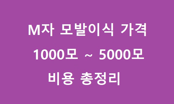 m자 모발이식 가격