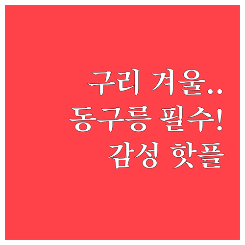 동구릉부터 구리타워까지 겨울 감성 가..