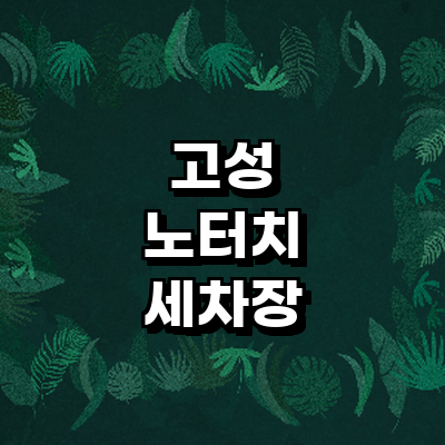 고성군 노터치 세차