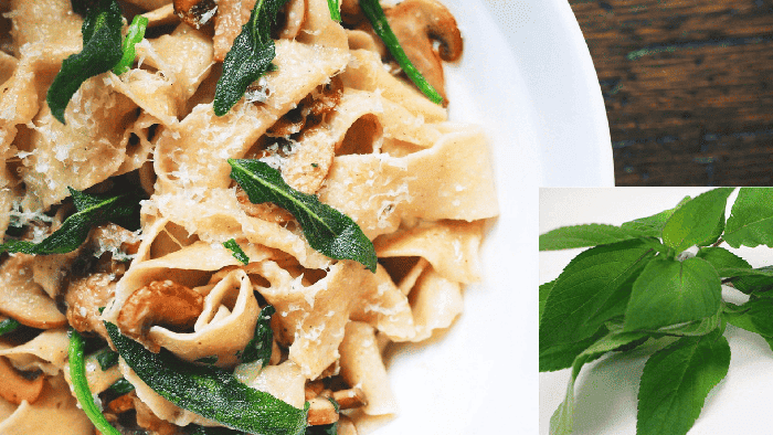 세이지와 버터 요리