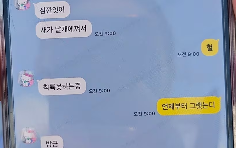탑승객카톡내용-항공기에 새가 낀 내용