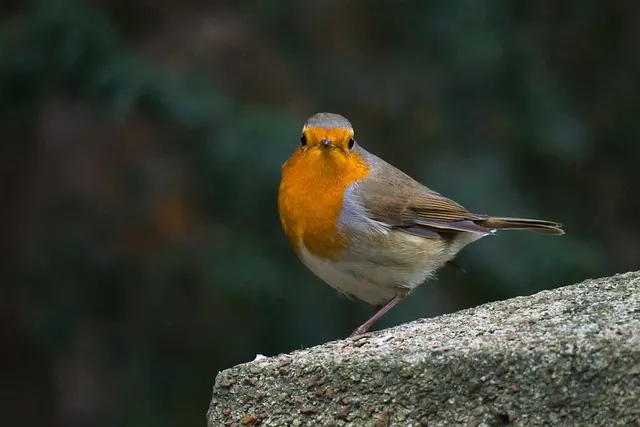 성인 이름의 유래와 축일 선택 가이드_7