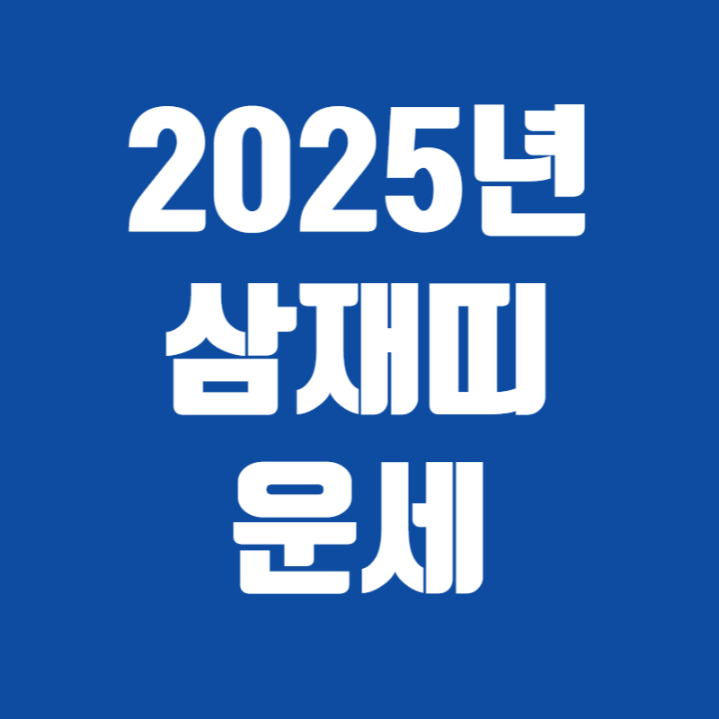 2025년 삼재띠 운세