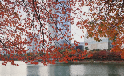 서울근교 단풍 명소 추천