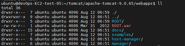 자동 압축 해제 및 배포 확인