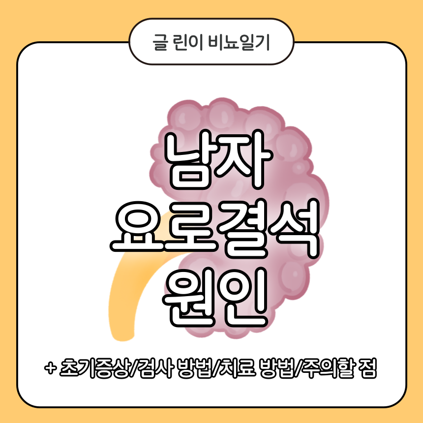 남자 요로결석 원인
