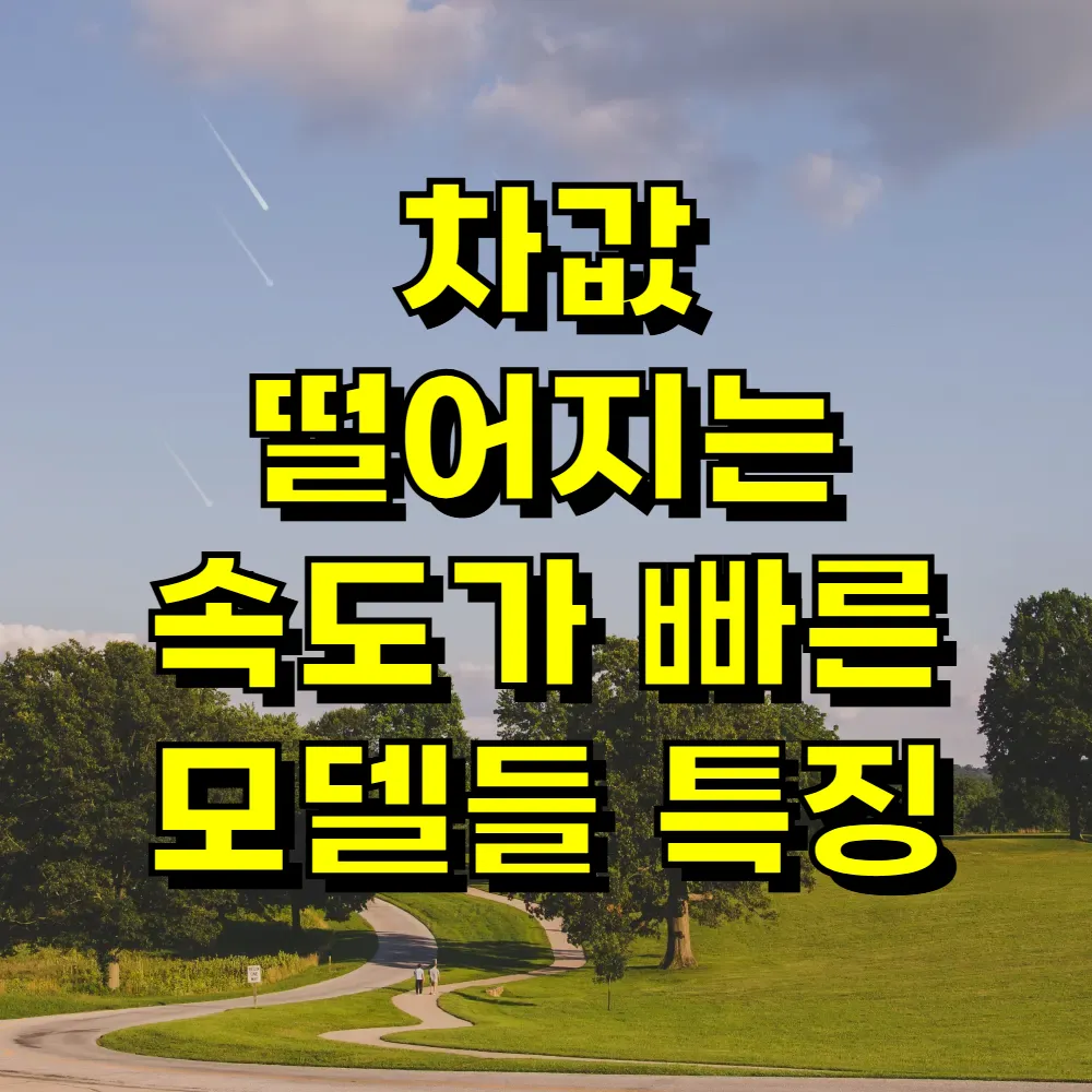 차값 떨어지는 속도가 빠른 모델들 특징