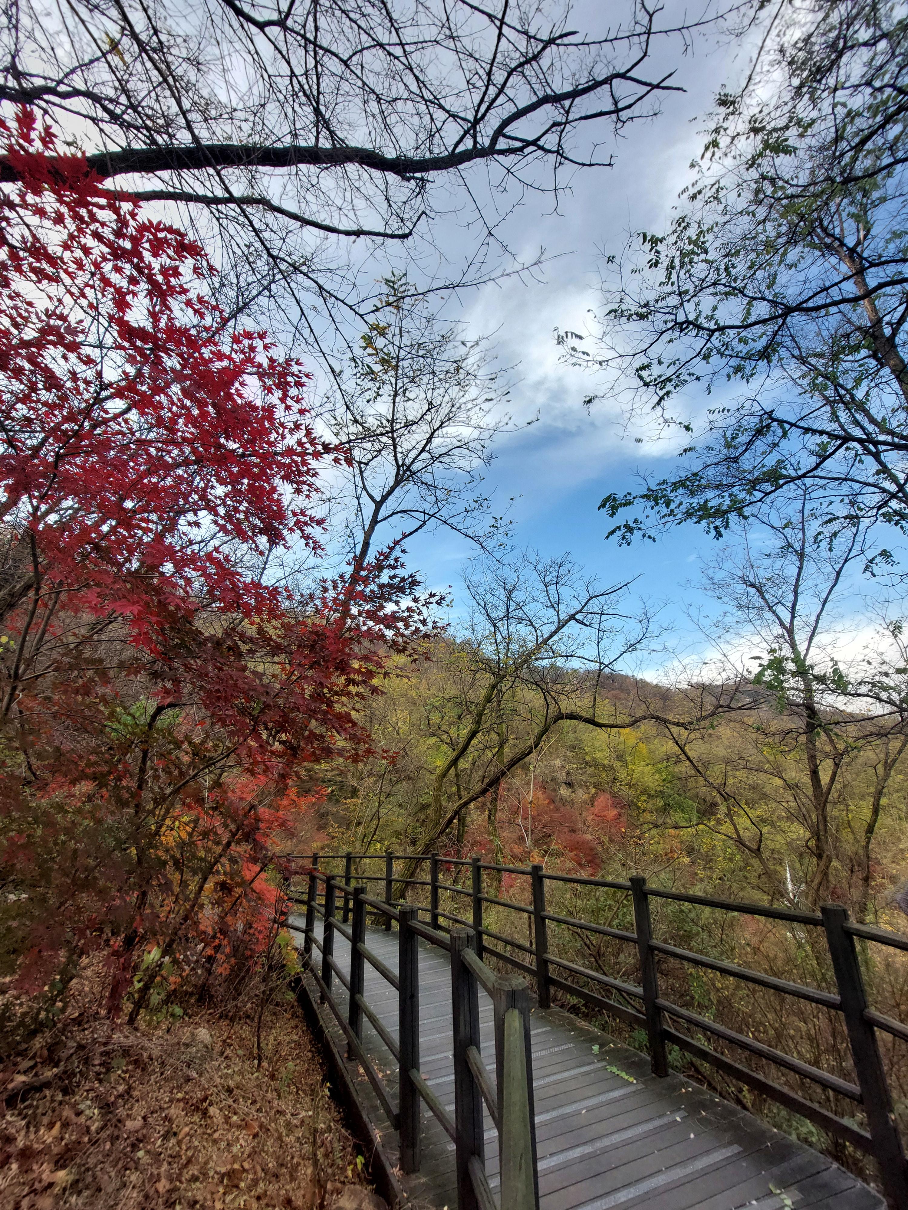 안산