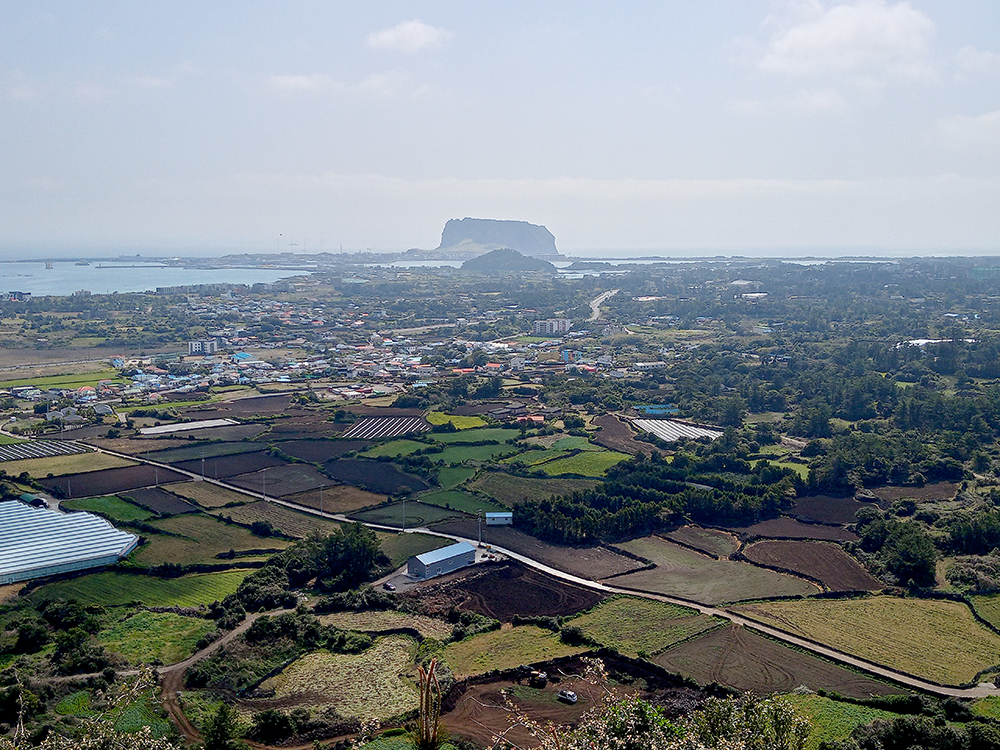 올레1코스: 말미오름 뷰