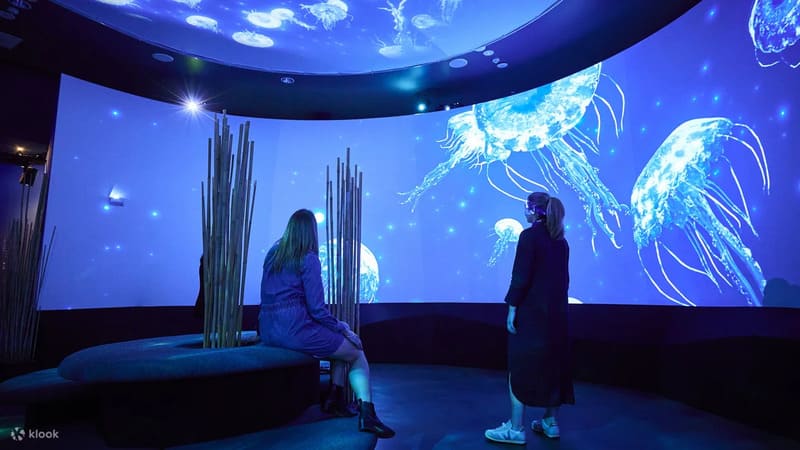 멜버른 씨라이프 아쿠아리움 입장권 예매 할인