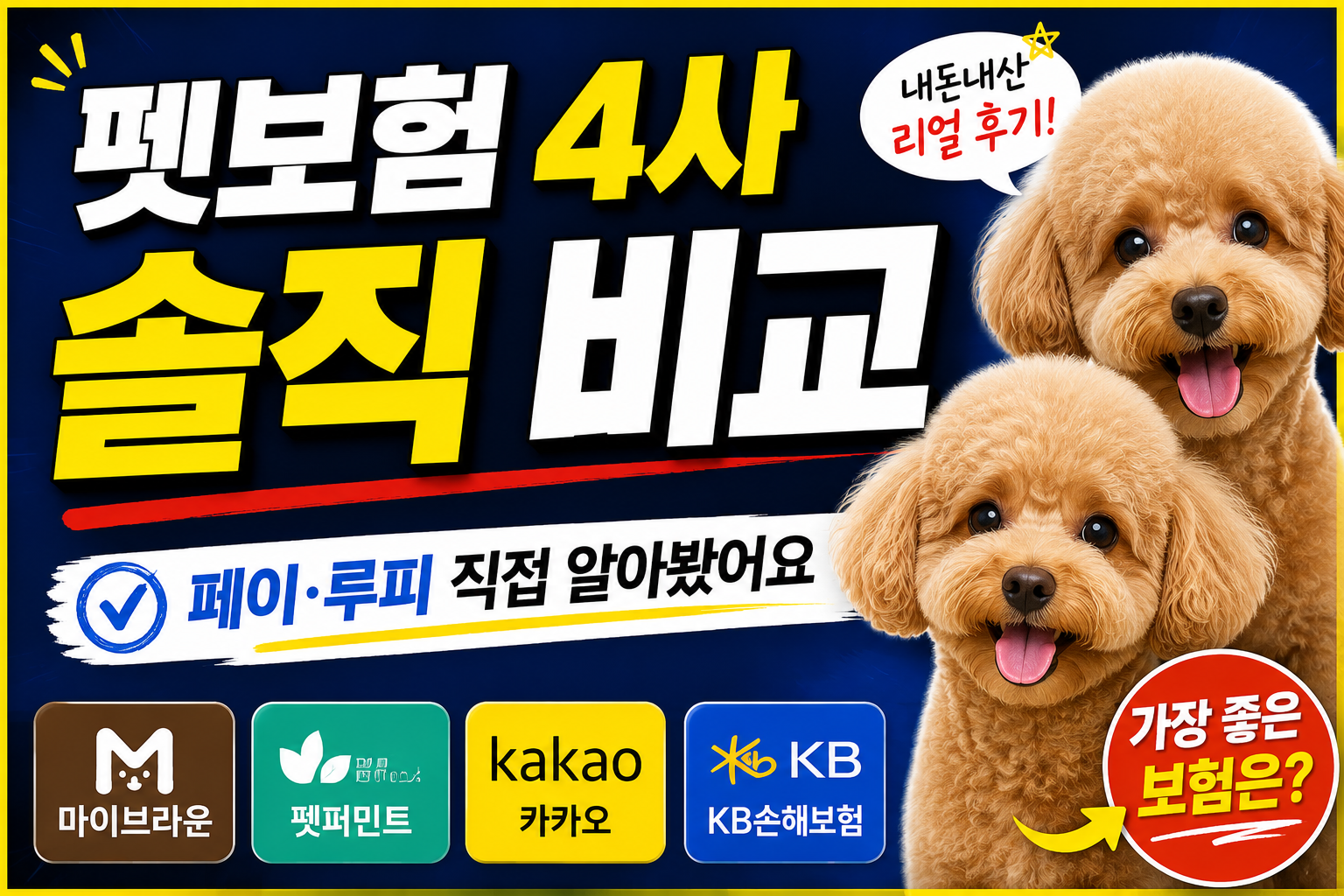 펫보험 4사 솔직 비교, 페이 루피 직접 알아봤어요