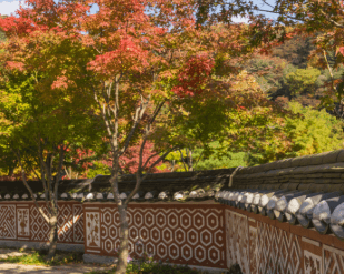 화담숲 예약 방법, 모노레일 시간