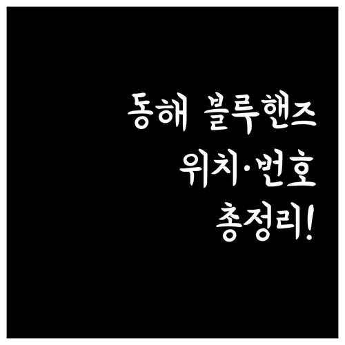동해시 블루핸즈 천곡점 북평점 동해점..