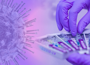 동남아시아와 중화권 코로나19 재확산