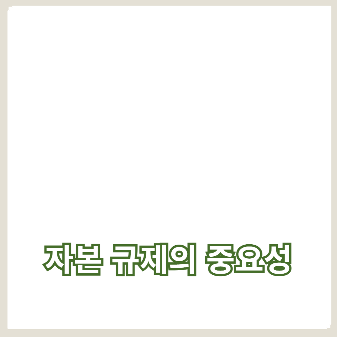 국제 금융 시장에서 자본 규제의 중요성