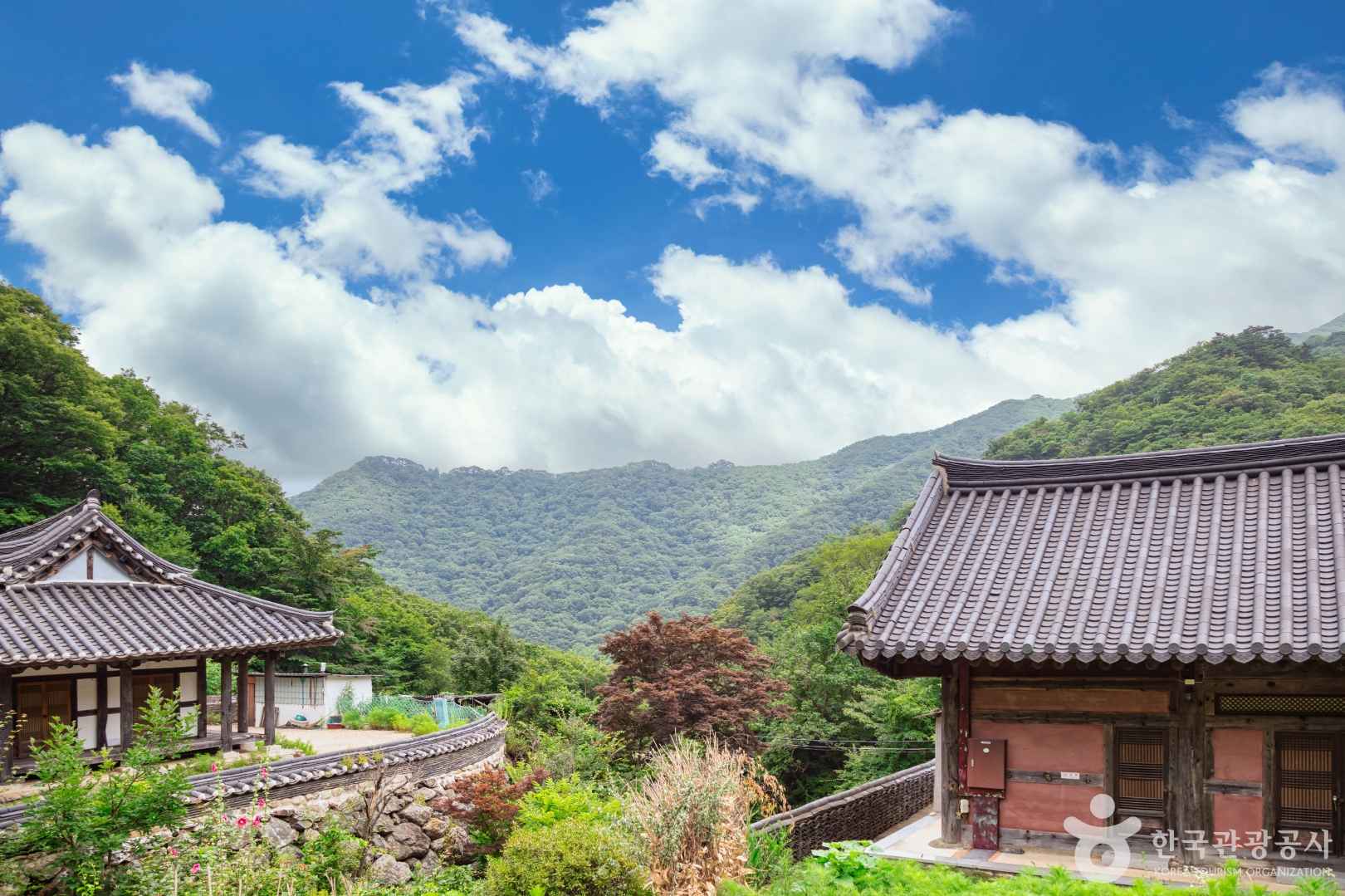 백련사