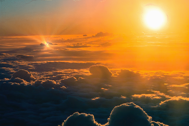 CC light ray를 통해 빛을 만들었다