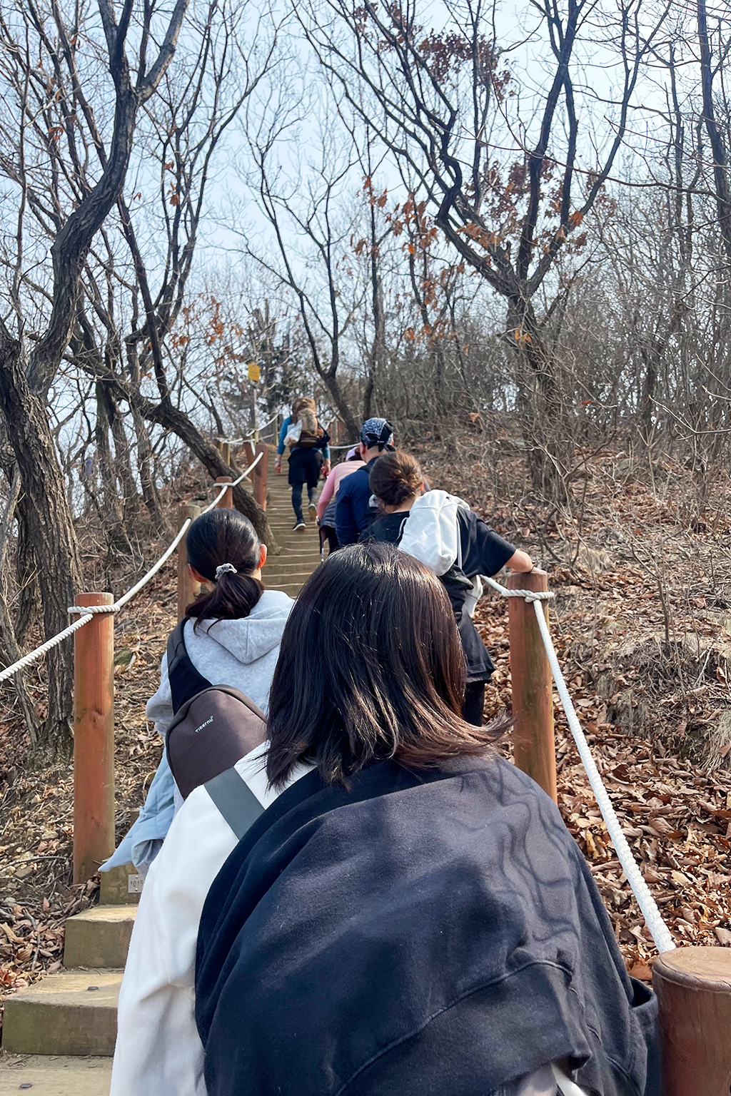 서울 경기 청계산 등산 일행