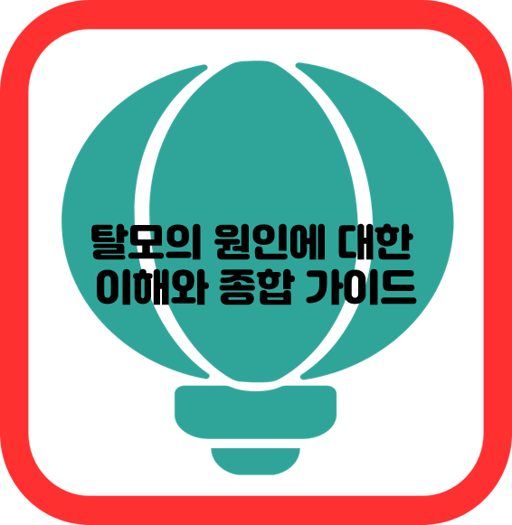 탈모의 원인에 대한 이해와 종합 가이드