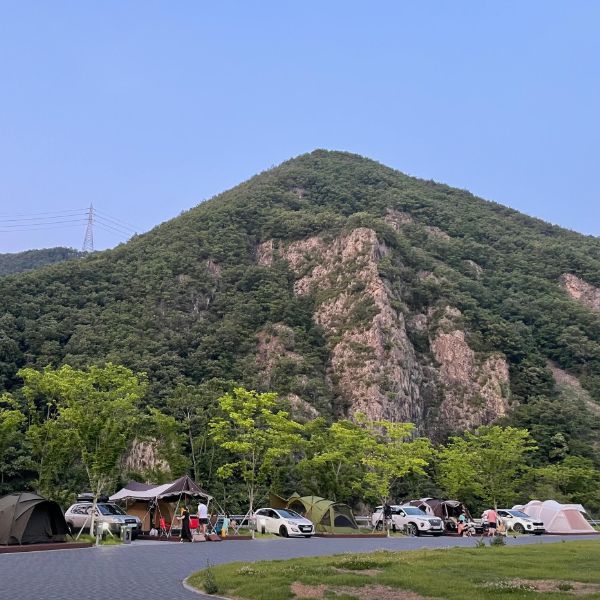 골부리권역