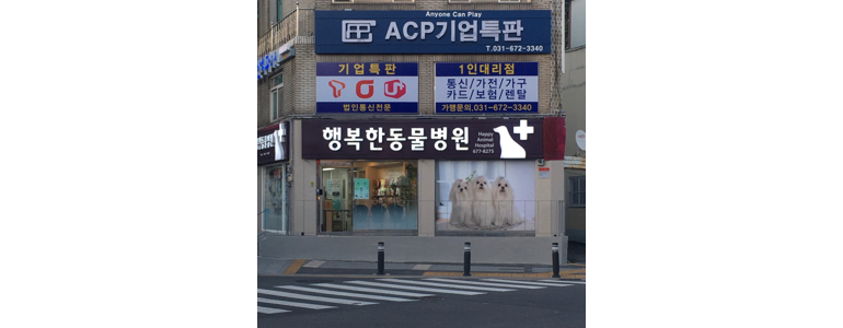 안성시 동물병원