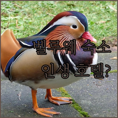 미슐랭급 다이닝부터 가성비 숲속 힐링..