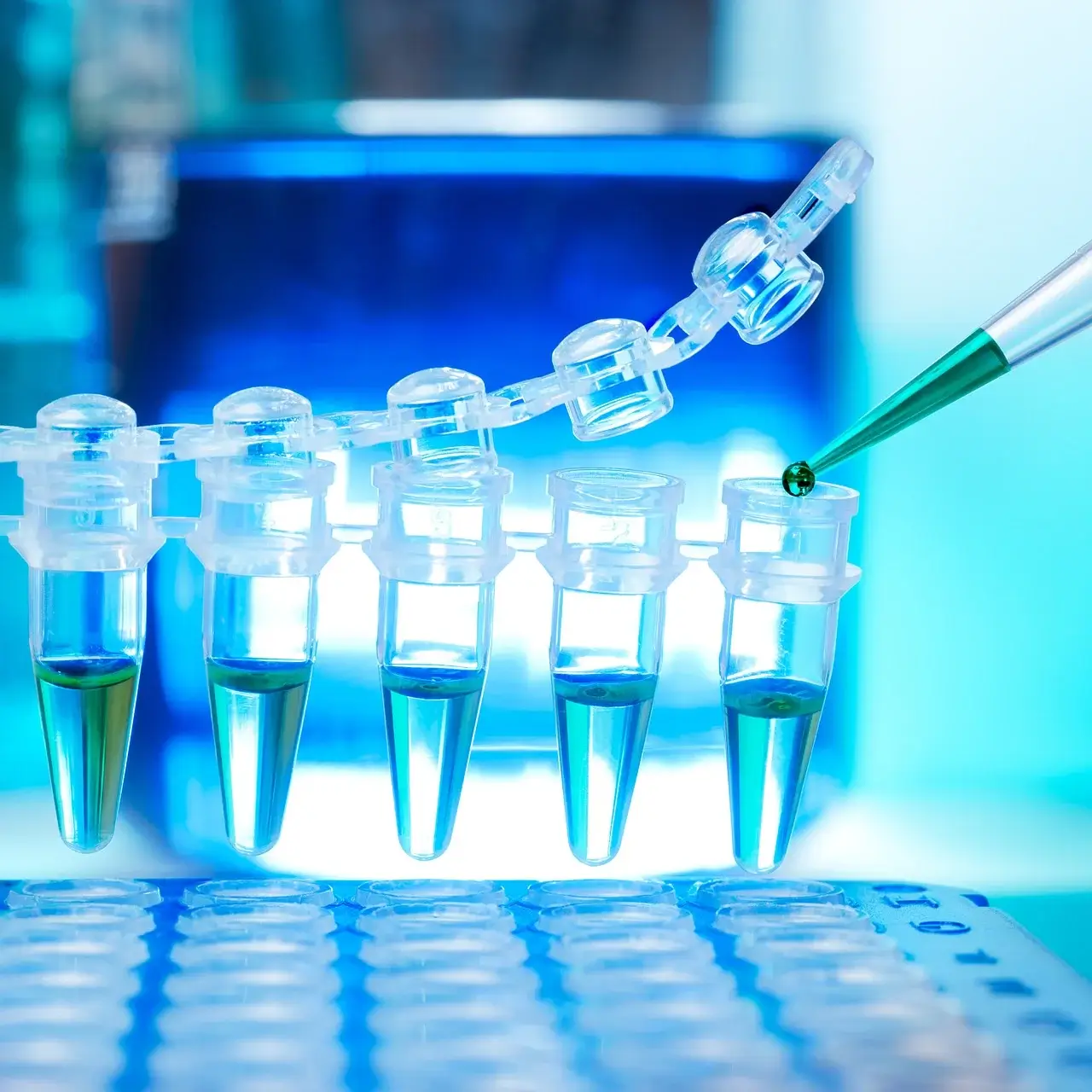 명상과 결합된 CBT – 마음챙김 인지 조절 루틴 만들기