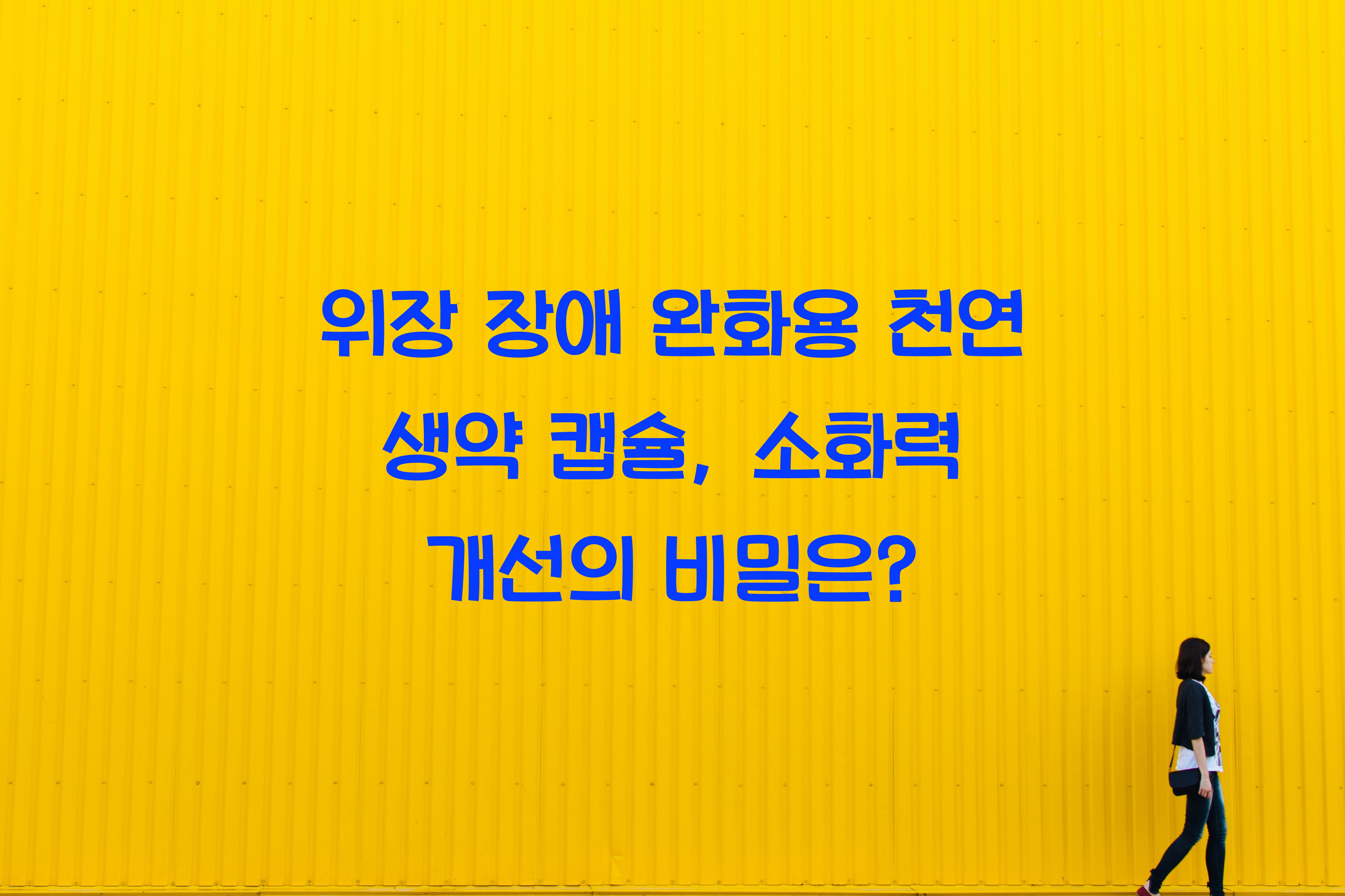 위장 장애 완화용 천연 생약 캡슐