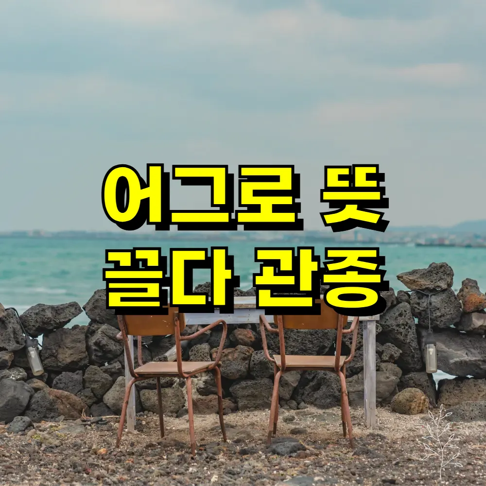 어그로 뜻 끌다 관종