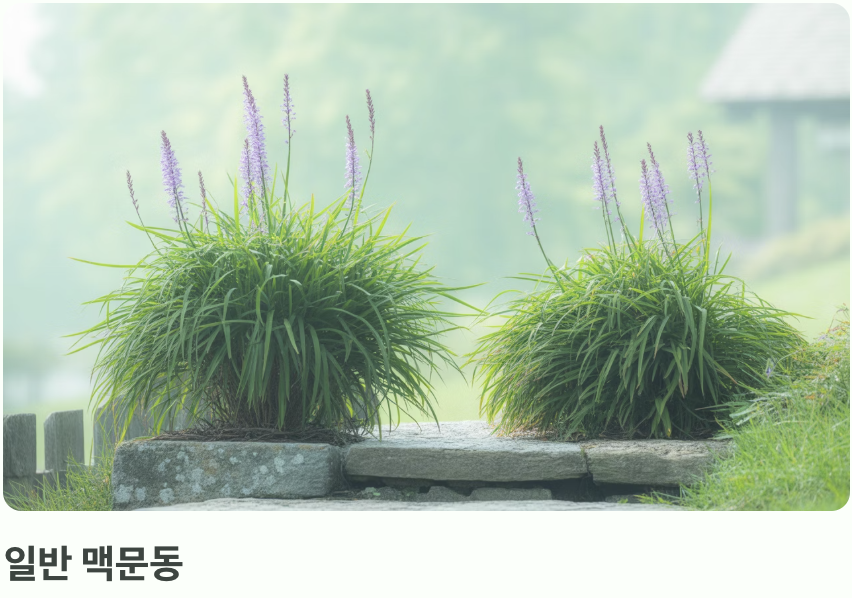 번식 속도와 가격, 현실적인 고려