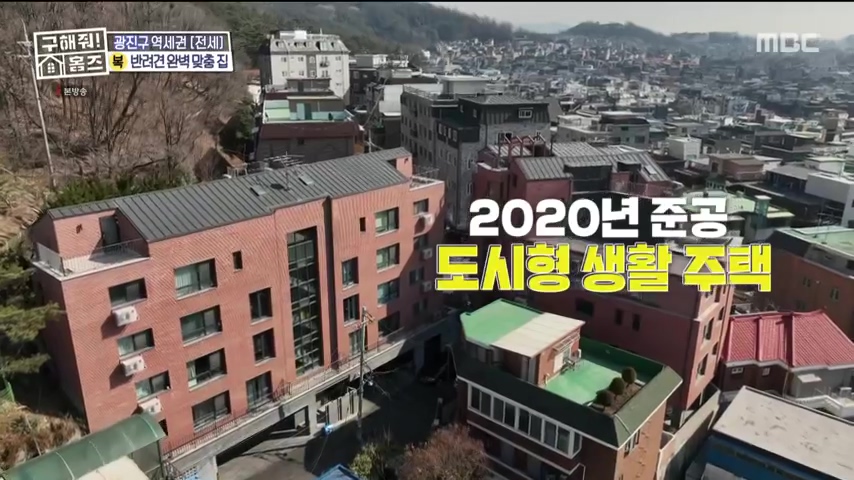 구해줘홈즈 댕댕하우스 동물병원 인접 서울시 광진구 중곡동 전세 매매 매물 가격 및 구조 인테리어 리모델링 최종선택 더보이즈 영훈 현재 소개