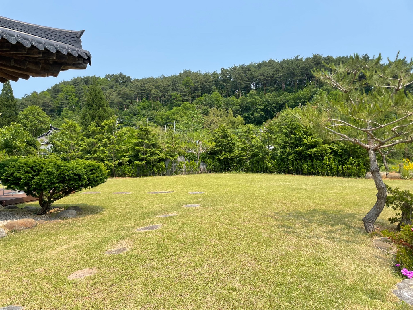 삼척 카페 추천 한옥카페 오시