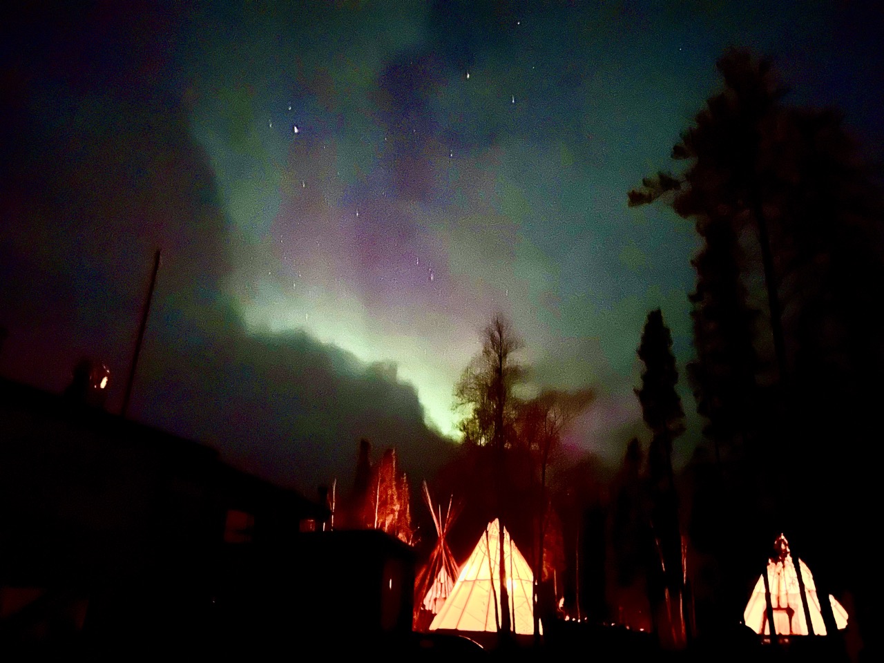 어떻게든 잘 담고 싶었지만, 사진 찍는 스킬이 부족했더 나.