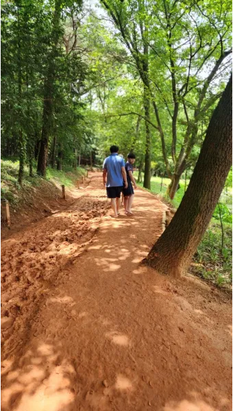 황토길 맨발걷기 효능 부작용 무좀_17