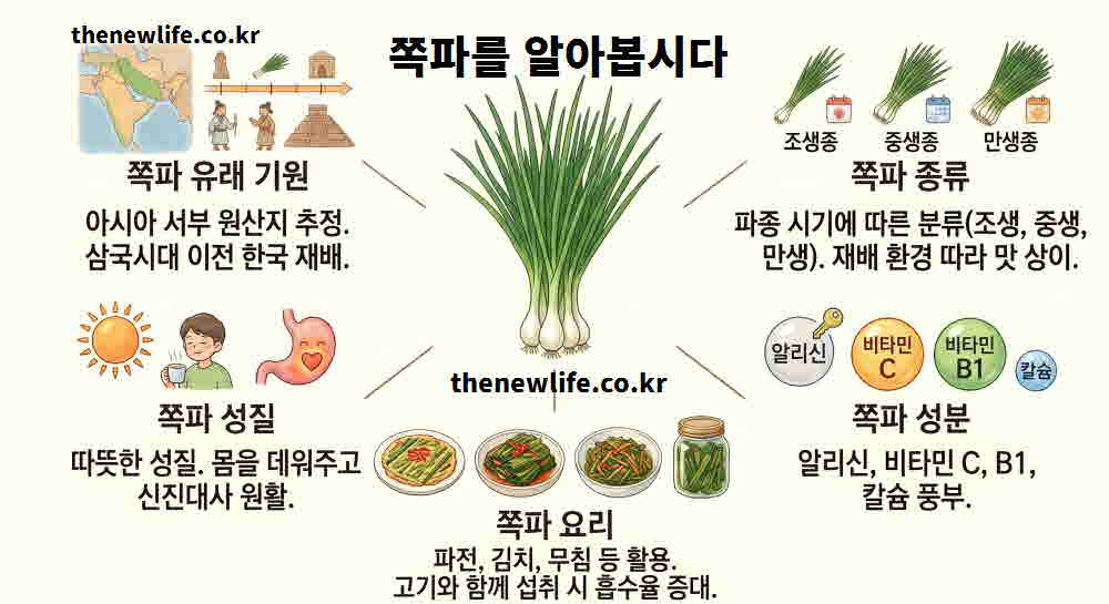 쪽파 효능 기본정보