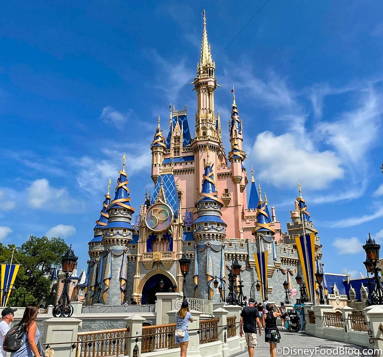 경북 디즈니랜드, 유치여부 내달 초 확정 ㅣ 디즈니 월드가 반입 금지하는 4가지