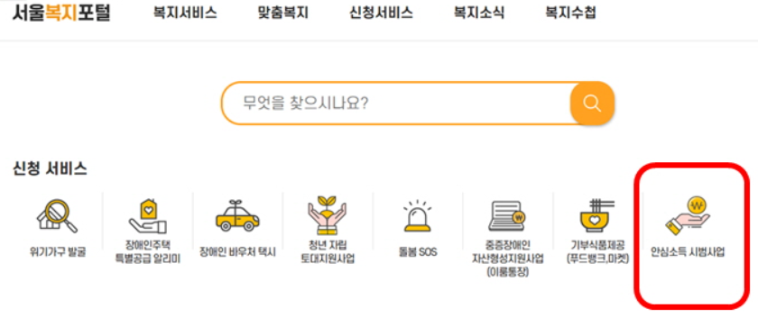 서울복지포털 안심소득 시범사업