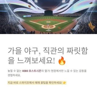 KBO 프로야구 예매 좌석표 시야 좋은 자리 노약자석 추천 팁_8