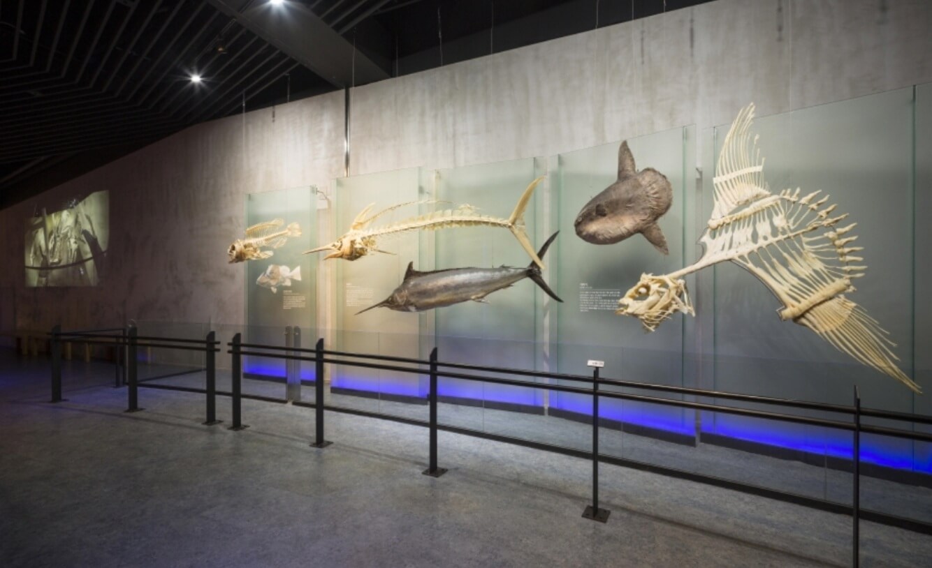 서천 가볼만한곳 베스트10 국립해양생물자원관(씨큐리움)