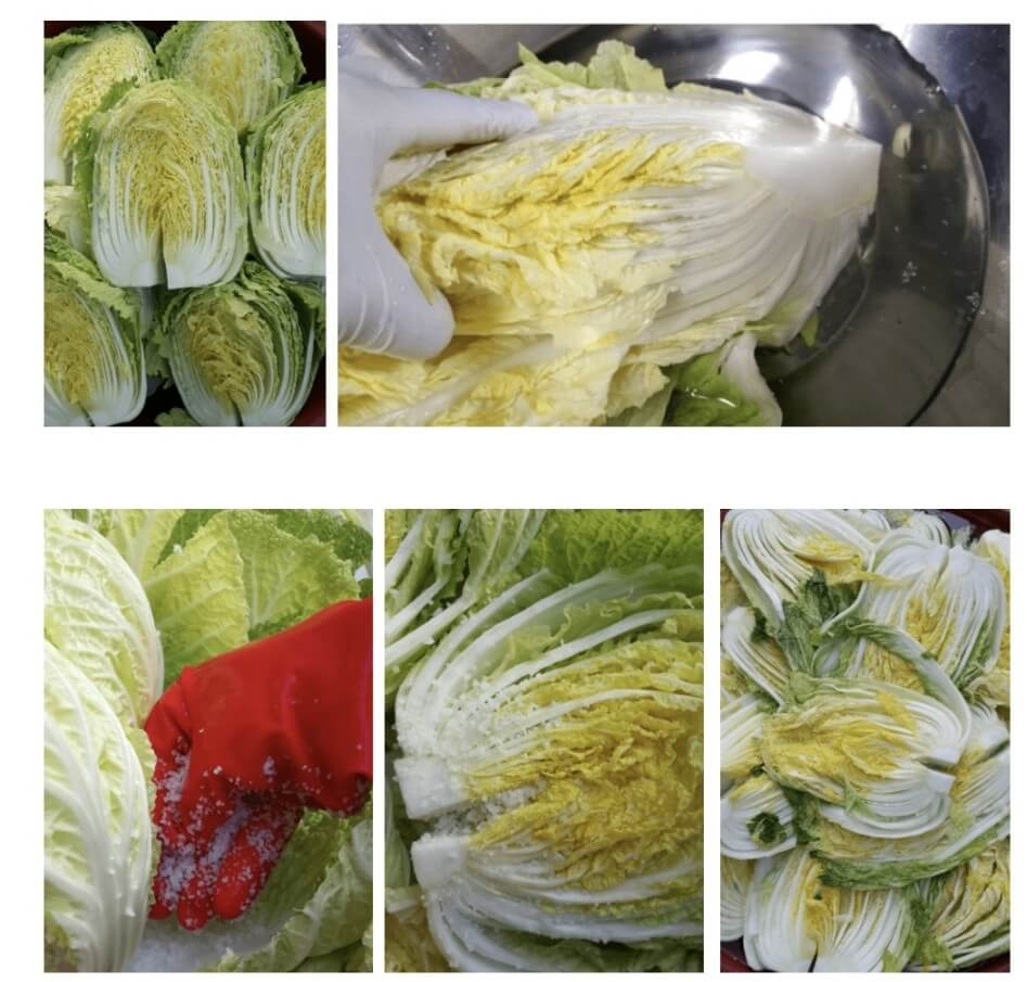 김장배추 절이는 방법