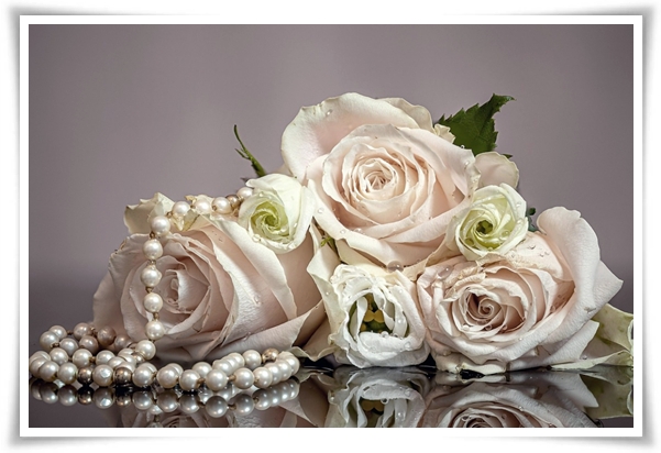 화초 &quot;리시안셔스&quot; 장미인 듯 장미 아닌 변치 않는 사랑의 꽃!