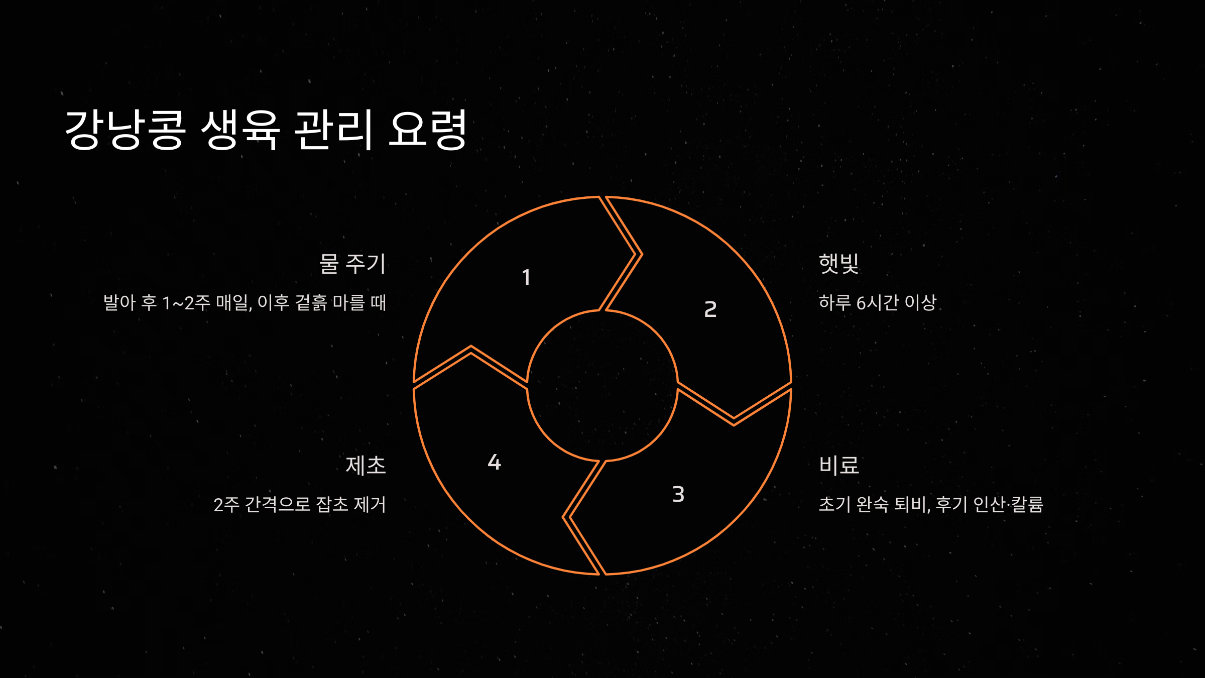 강낭콩 생육 관리 요령
