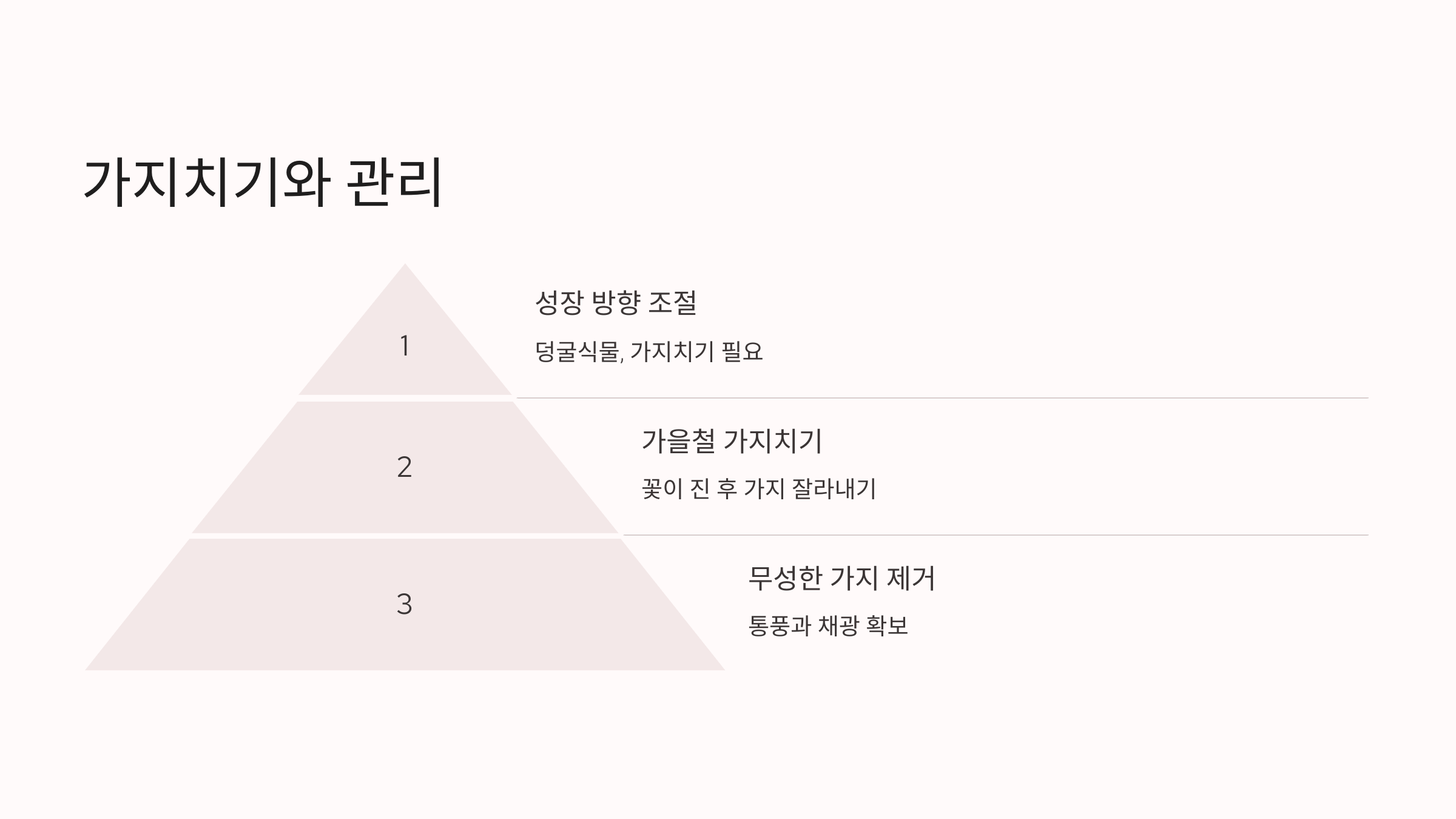 능소화 사진입니다.