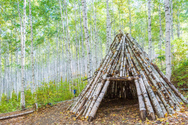 폐목재·플라스틱 판자를 재활용한 긴급 대형 쉼터 실험