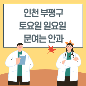 인천 부평구 토요일 일요일 안과 진료 병원 리스트